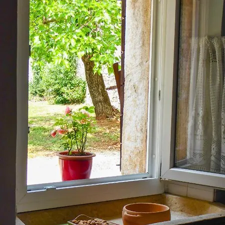 Casa Istriana Nona Pina Kaštelir